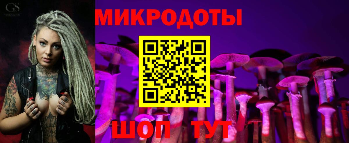 Кисловодск  закладка  Вход с VPN  Галлюциногенные грибы прущие грибы 